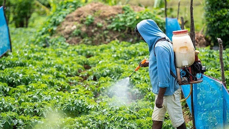 Ψεκασμός φυτοπροστασίας σε κήπο για ασθένειες φυτών