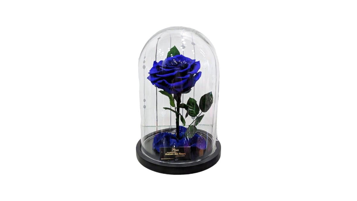 Forever Rose Μπλε σε Καμπάνα 12 cm