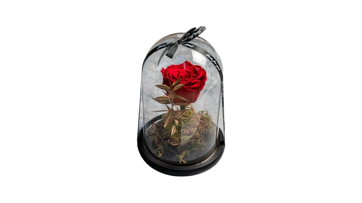 Forever Rose Κόκκινο σε Καμπάνα 12 cm
